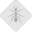 pests-ants